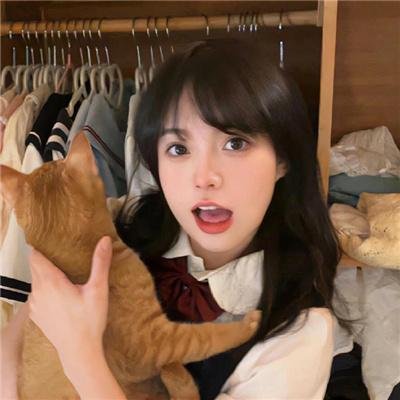 科迪内